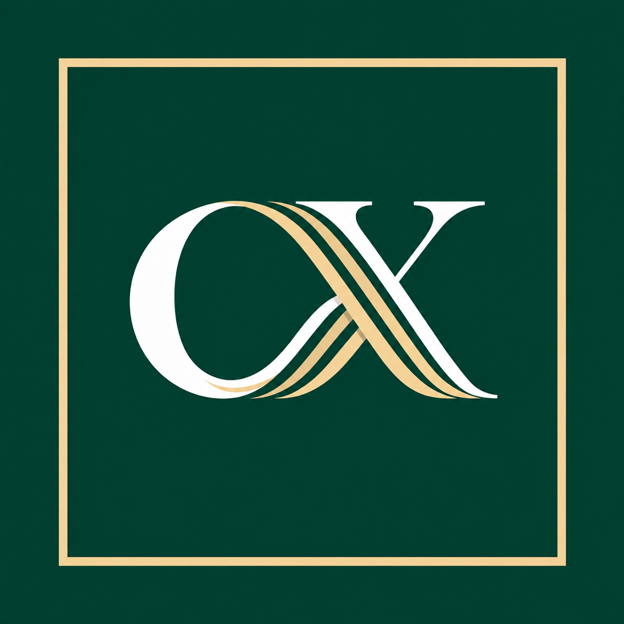 宸星纺星织科技有限公司 Logo